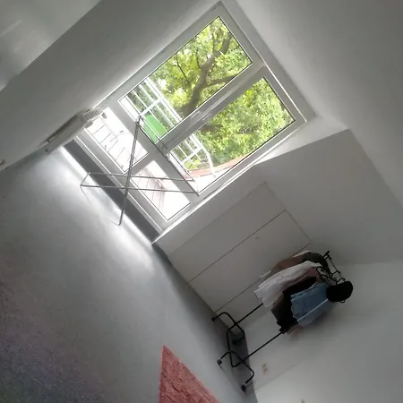 Hive For Rent In